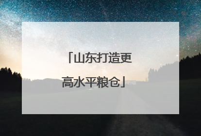 山东打造更高水平粮仓