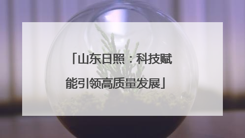 山东日照：科技赋能引领高质量发展