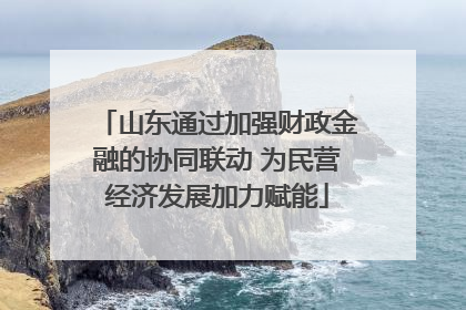 山东通过加强财政金融的协同联动 为民营经济发展加力赋能