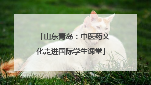 山东青岛：中医药文化走进国际学生课堂