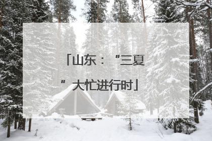 山东：“三夏”大忙进行时