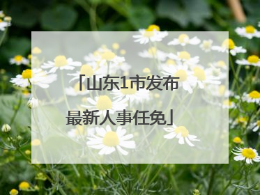 山东1市发布最新人事任免