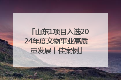 山东1项目入选2024年度文物事业高质量发展十佳案例