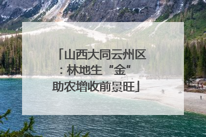 山西大同云州区：林地生“金” 助农增收前景旺