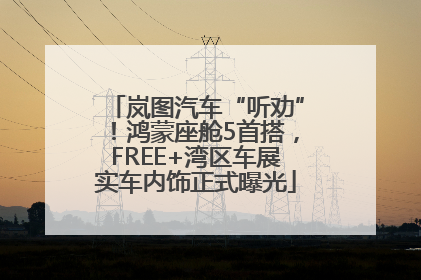岚图汽车“听劝”！鸿蒙座舱5首搭，FREE+湾区车展实车内饰正式曝光