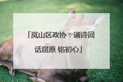 岚山区政协：诵诗词 话屈原 铭初心
