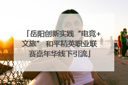 岳阳创新实践“电竞+文旅” 和平精英职业联赛嘉年华线下引流