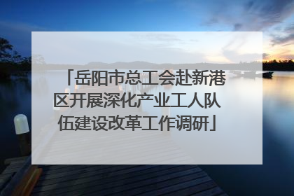 岳阳市总工会赴新港区开展深化产业工人队伍建设改革工作调研