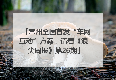 常州全国首发“车网互动”方案，请看《浪尖周报》第26期