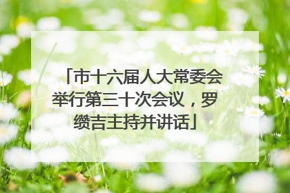 市十六届人大常委会举行第三十次会议，罗缵吉主持并讲话