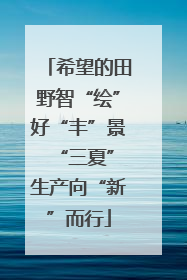 希望的田野智“绘”好“丰”景 “三夏”生产向“新”而行