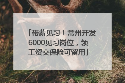带薪见习！常州开发6000见习岗位，领工资交保险可留用