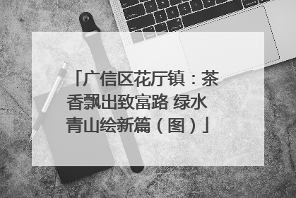 广信区花厅镇：茶香飘出致富路 绿水青山绘新篇（图）