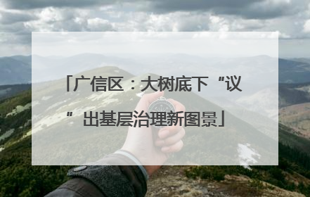 广信区：大树底下“议”出基层治理新图景