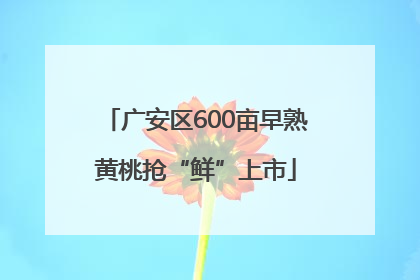 广安区600亩早熟黄桃抢“鲜”上市