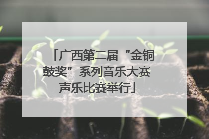广西第二届“金铜鼓奖”系列音乐大赛声乐比赛举行