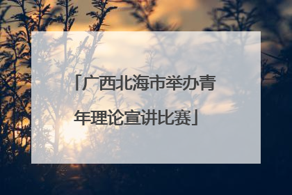 广西北海市举办青年理论宣讲比赛
