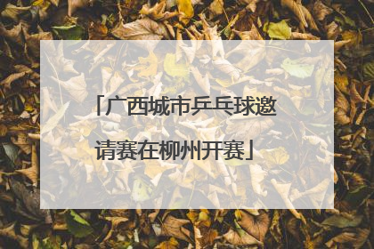 广西城市乒乓球邀请赛在柳州开赛