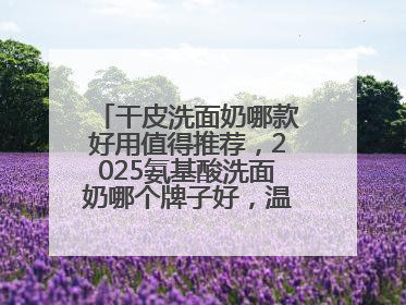 干皮洗面奶哪款好用值得推荐，2025氨基酸洗面奶哪个牌子好，温和在线