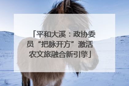 平和大溪：政协委员“把脉开方”激活农文旅融合新引擎