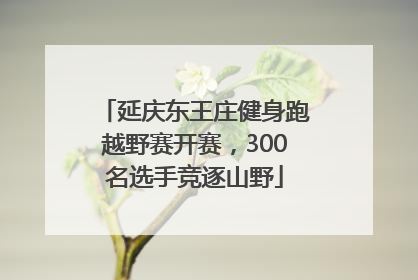 延庆东王庄健身跑越野赛开赛，300名选手竞逐山野
