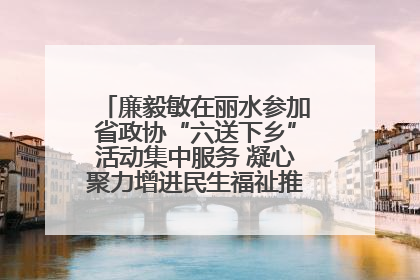 廉毅敏在丽水参加省政协“六送下乡”活动集中服务 凝心聚力增进民生福祉推进共同富裕
