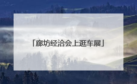 廊坊经洽会上逛车展