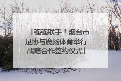 强强联手！烟台市足协与鹿扬体育举行战略合作签约仪式