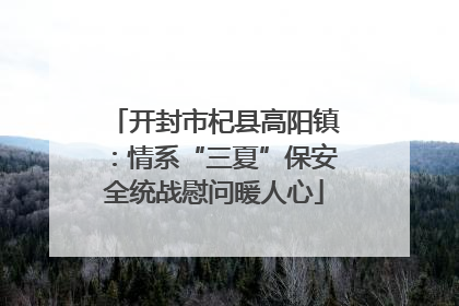 开封市杞县高阳镇：情系“三夏”保安全统战慰问暖人心