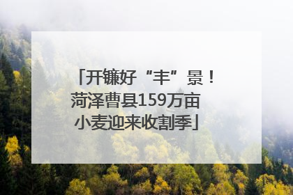 开镰好“丰”景！菏泽曹县159万亩小麦迎来收割季
