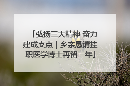 弘扬三大精神 奋力建成支点｜乡亲恳请挂职医学博士再留一年