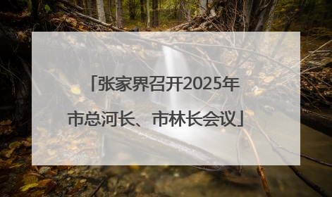 张家界召开2025年市总河长、市林长会议