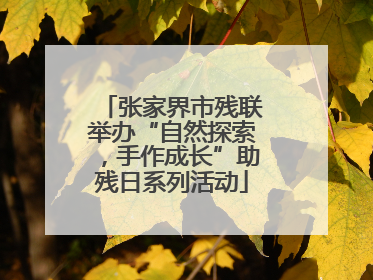 张家界市残联举办“自然探索，手作成长”助残日系列活动