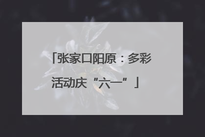 张家口阳原：多彩活动庆“六一”