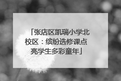 张店区凯瑞小学北校区：缤纷选修课点亮学生多彩童年