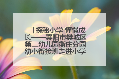 探秘小学 憧憬成长——襄阳市樊城区第二幼儿园衡庄分园幼小衔接班走进小学开展参观体验活动