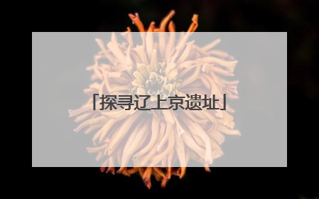 探寻辽上京遗址