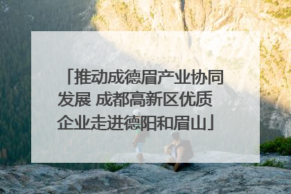 推动成德眉产业协同发展 成都高新区优质企业走进德阳和眉山