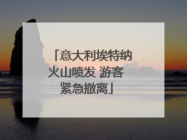 意大利埃特纳火山喷发 游客紧急撤离