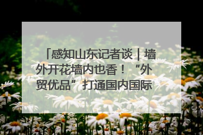 感知山东记者谈｜墙外开花墙内也香！“外贸优品”打通国内国际市场“旋转门”