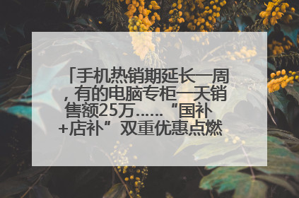 手机热销期延长一周，有的电脑专柜一天销售额25万……“国补+店补”双重优惠点燃德州“考后经济”