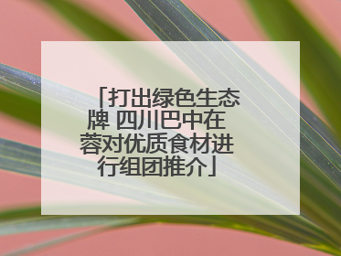 打出绿色生态牌 四川巴中在蓉对优质食材进行组团推介