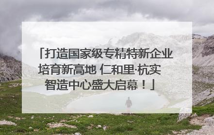 打造国家级专精特新企业培育新高地 仁和里·杭实智造中心盛大启幕！