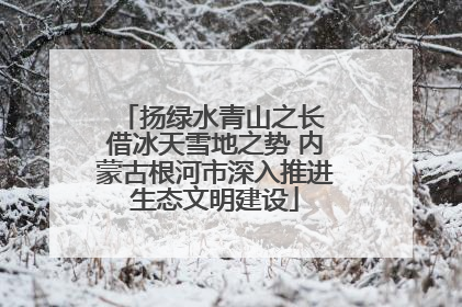 扬绿水青山之长 借冰天雪地之势 内蒙古根河市深入推进生态文明建设