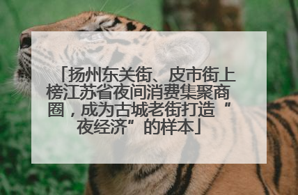 扬州东关街、皮市街上榜江苏省夜间消费集聚商圈，成为古城老街打造“夜经济”的样本