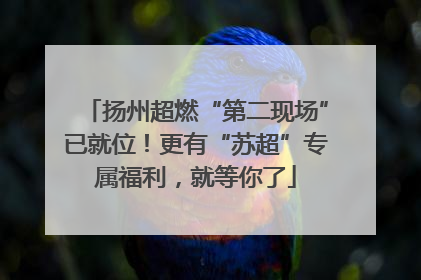 扬州超燃“第二现场”已就位！更有“苏超”专属福利，就等你了