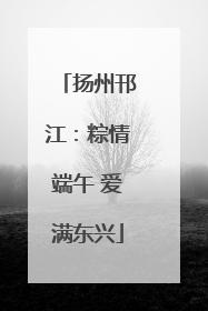 扬州邗江：粽情端午 爱满东兴