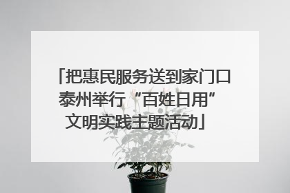 把惠民服务送到家门口 泰州举行“百姓日用”文明实践主题活动