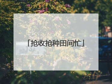 抢收抢种田间忙
