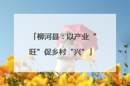 柳河县：以产业“旺”促乡村“兴”